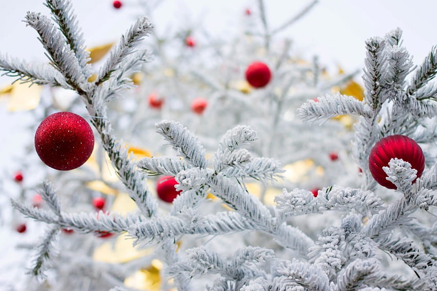 겨울, 크리스마스, 공, 자연, 겨울 시간, 크리스마스 HD 월페이퍼