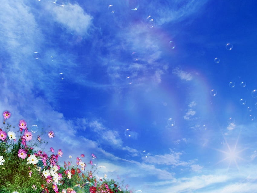 ทุ่งหญ้าฤดูร้อน ท้องฟ้าสีฟ้า ดอกไม้สีชมพู เมฆสีขาว วอลล์เปเปอร์ HD