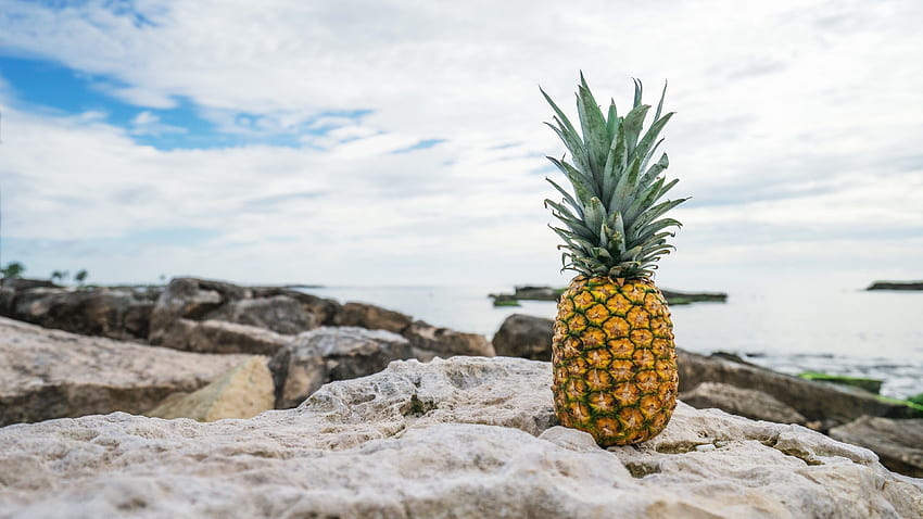 pineapple, fruit, stones, beach, , Food, Pineapple Fruit HD wallpaper