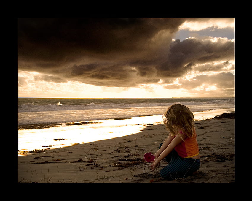 menina, flor e praia, ondas, flor, vermelho, menina, nuvem escura, praia papel de parede HD