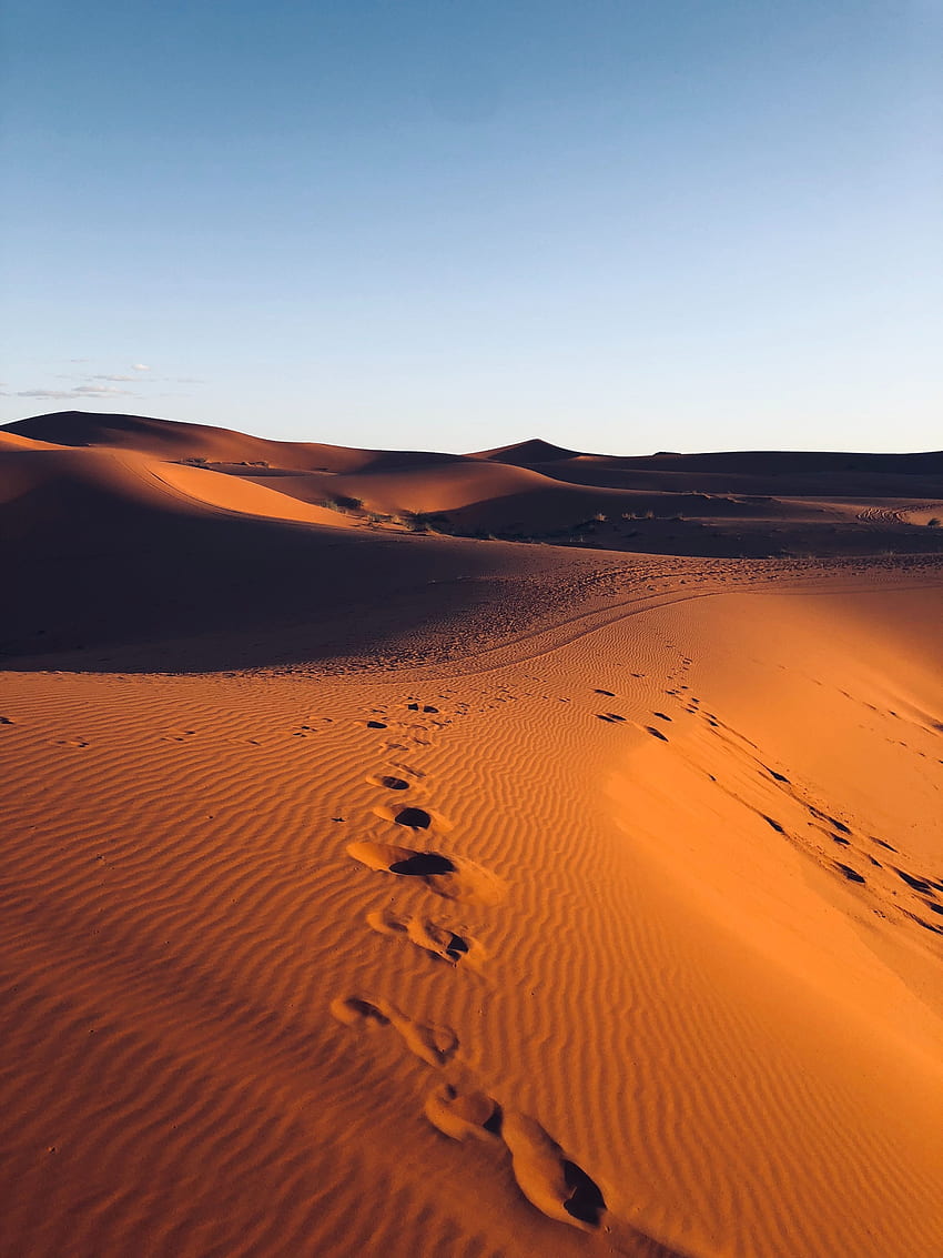 Naturaleza, Arena, Desierto, Marruecos, Huellas fondo de pantalla del teléfono