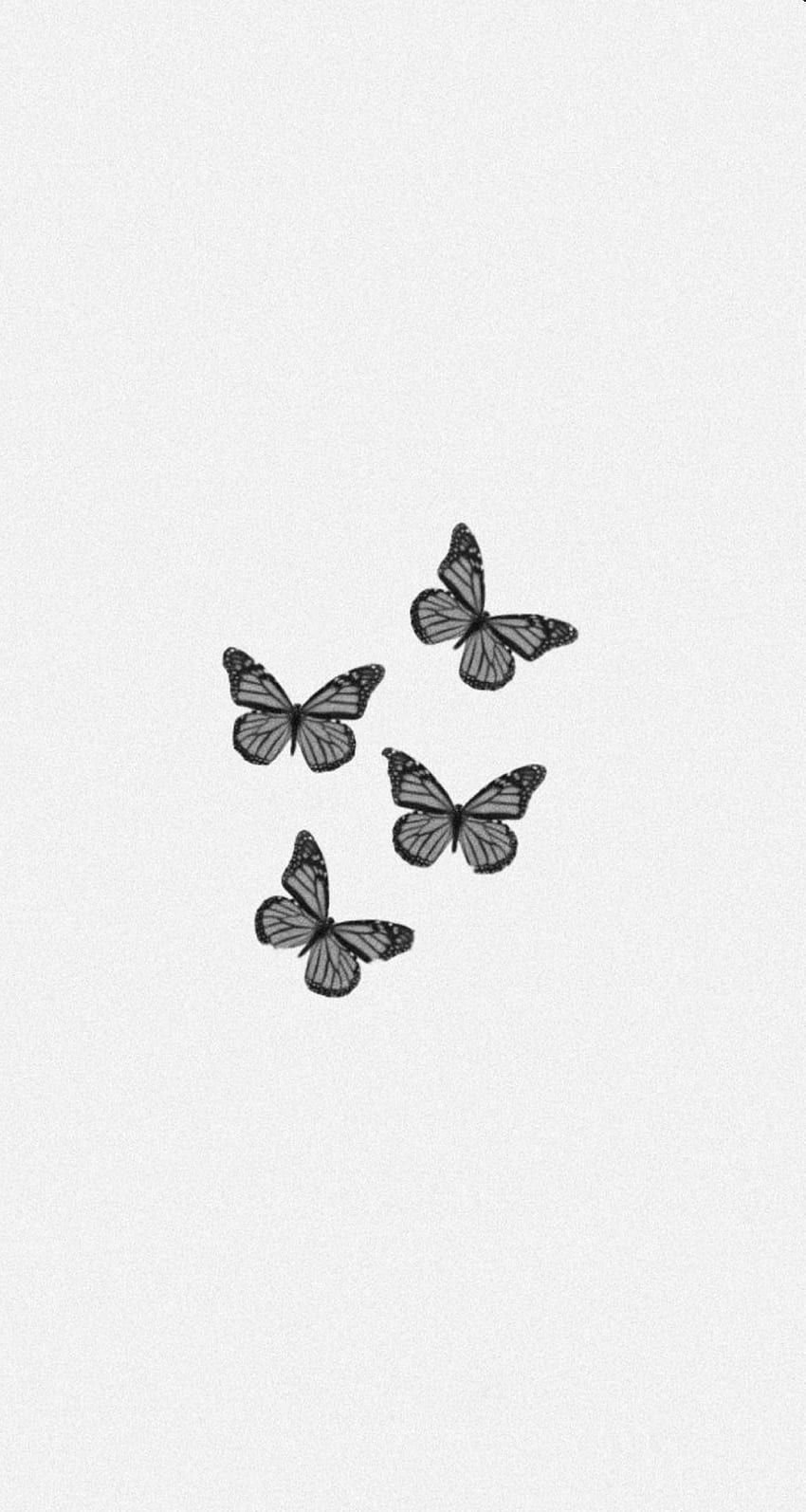Esthétique des papillons. Mur noir et blanc, Papillon noir et blanc, Papillon iphone, Papillon minimaliste Fond d'écran de téléphone HD