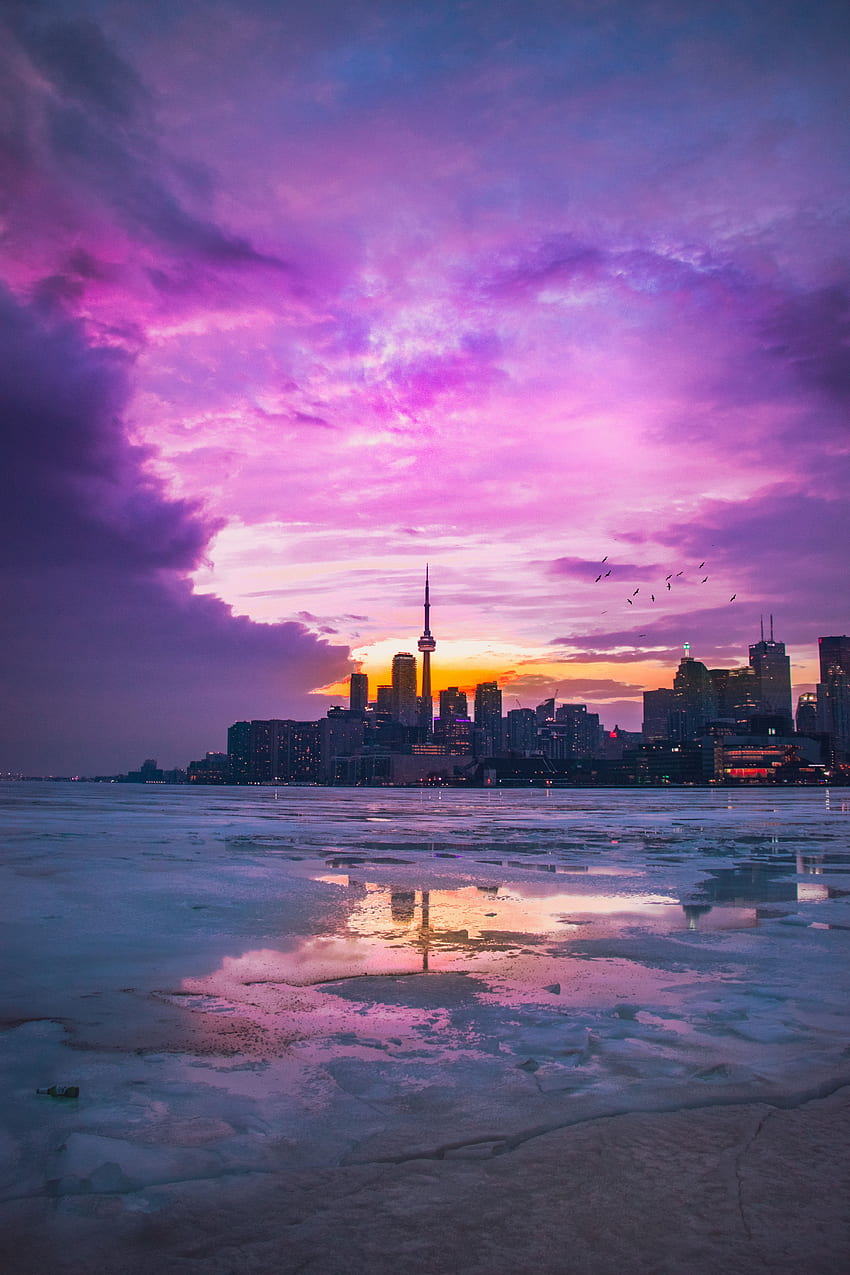 Panorama, Cities, City, Canada, Evening, Toronto HD phone wallpaper