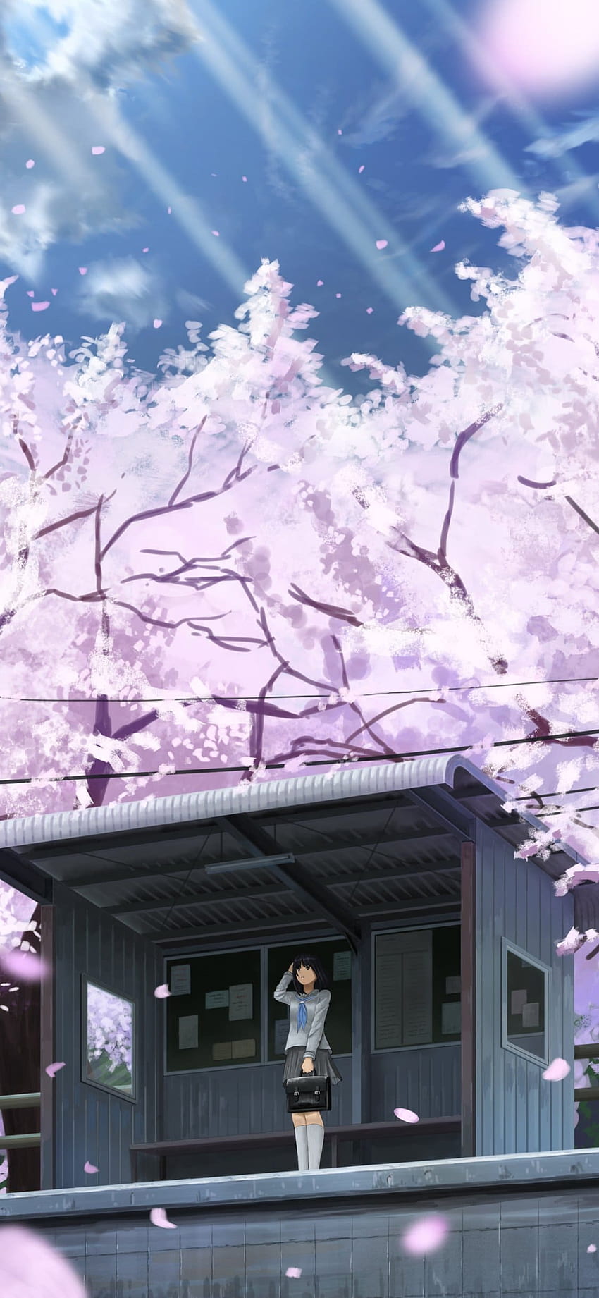 Hoa anh đào là một trong những biểu tượng đẹp nhất của Nhật Bản và cũng là chủ đề của nhiều bộ anime. Những hình ảnh về hoa anh đào anime thường mang lại cho người xem cảm giác tươi mới và gợi nhớ về mùa xuân. Nhấp vào để xem những hình ảnh đẹp nhất về hoa anh đào anime.