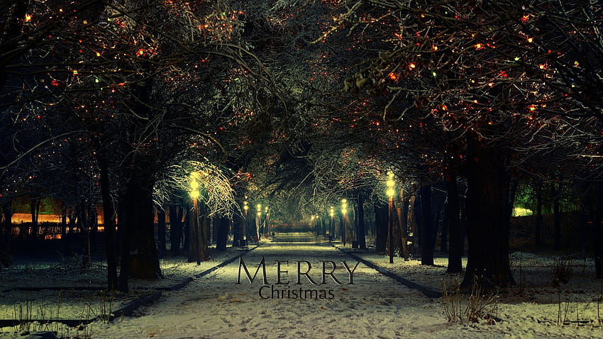 Winter: Snow Christmas December Merry Occasion Holiday Winter, graphy Christmas HD wallpaper