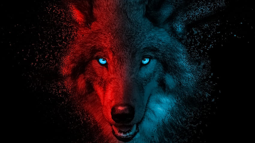 Serigala , Menakutkan, Gradien, Latar belakang gelap, Hewan, Gelap R Wallpaper HD
