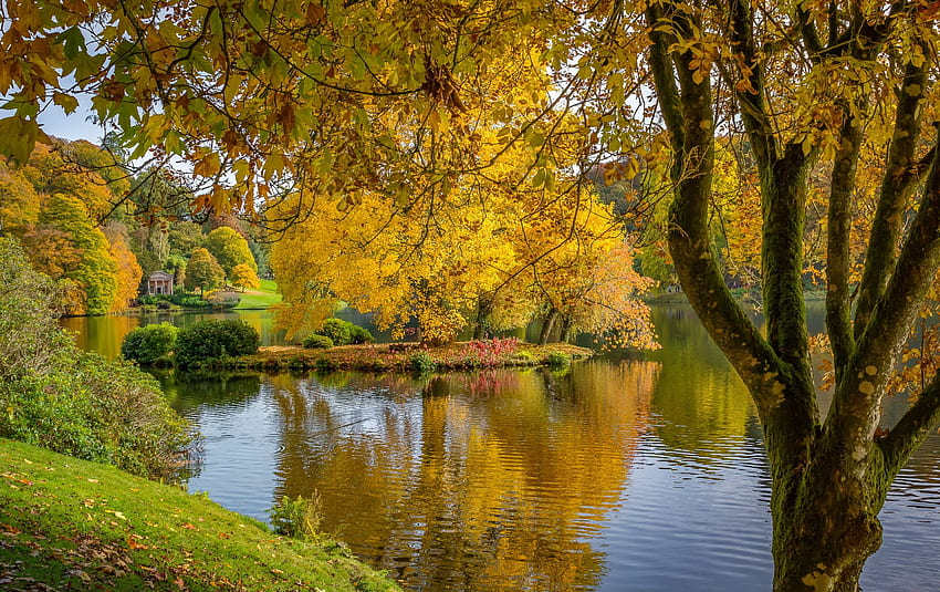 Złota jesień, spokój, rzeka, złoty, upadek, piękny, spokój, drzewo, jezioro, park, odbicie, kolor żółty, gałęzie, jesień, staw, liście Tapeta HD