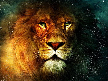 Premium Photo  Portrait of a lion closeup of wild lion face on black  background