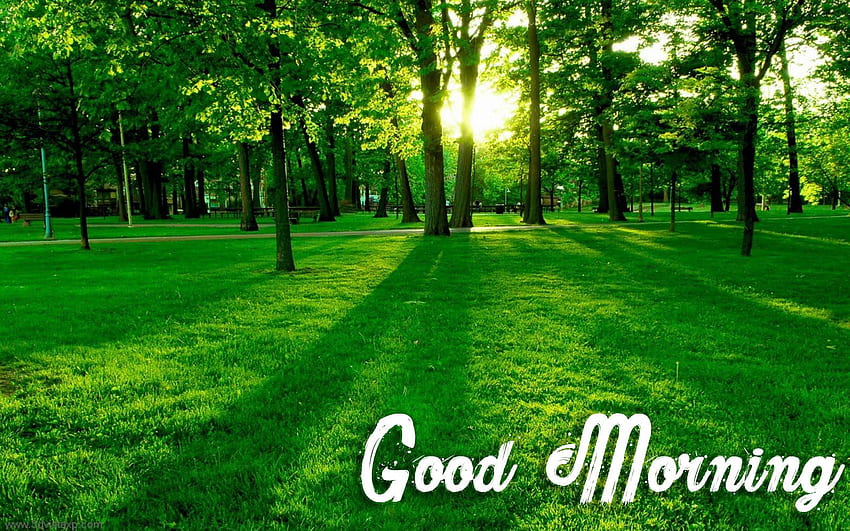 Good Morning Image with Nature 7  Good Morning Images  Good Morning  Photo HD Downlaod  Good Morning Pics Wallpaper HD