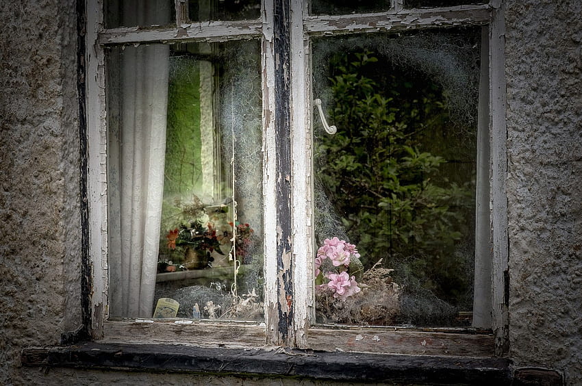 Old, House, Window, Flowers / - Старый Дом HD wallpaper