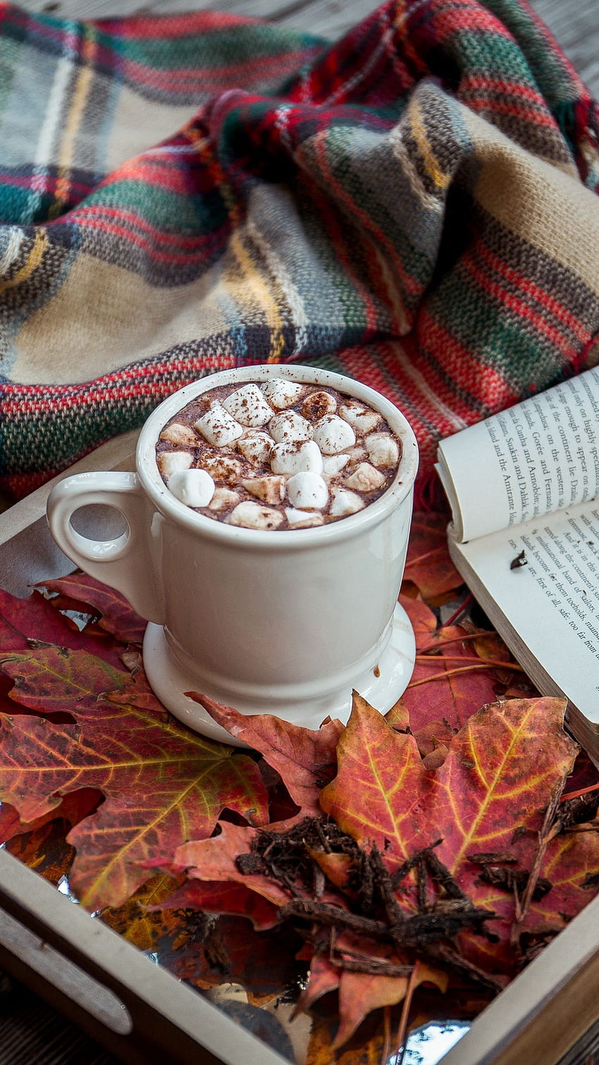 Cocoa, Marshmallow, Plaid, Book, Autumn - iPhone, Coffee and Books HD phone wallpaper