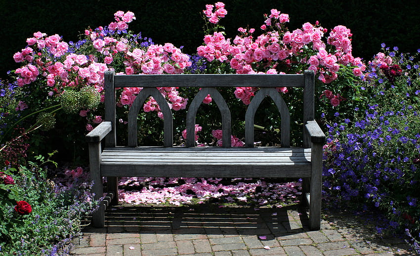 Bench Bush Colorful English Garden Flower Garden Pink Flower Rose Rose Bush - Resolution: HD wallpaper