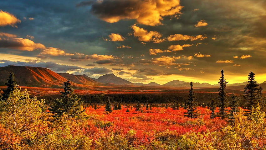 Denali National Park, Alaska, mountains, colors, autumn, landscape, trees, clouds, sky HD wallpaper