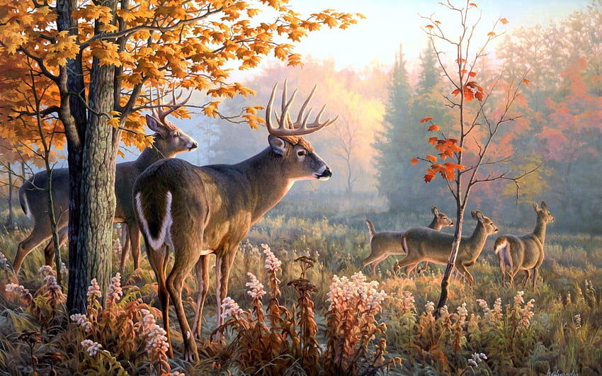 Deer 4. Animals . Deer , Autumn Deer HD wallpaper