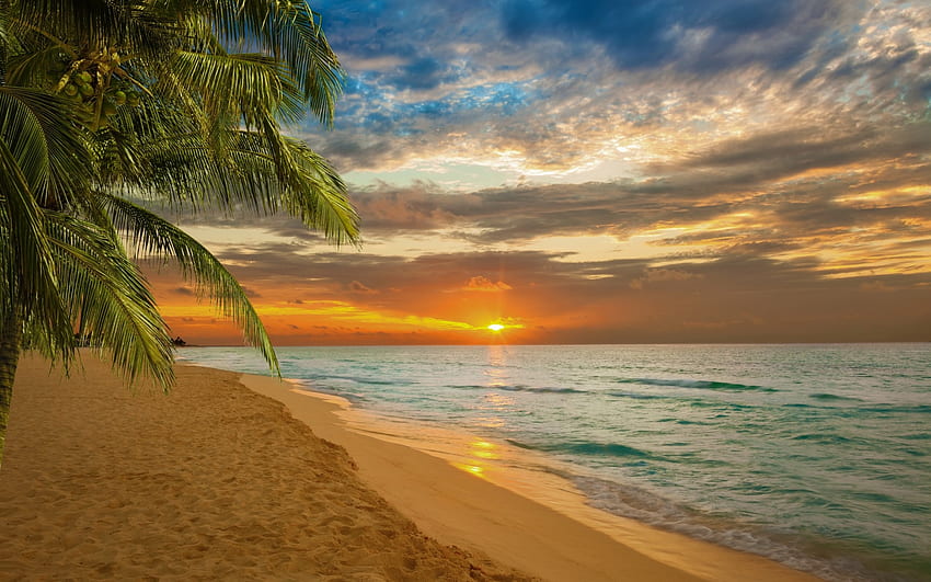 Tropikalna plaża, morze, brzeg, piasek, tropikalny, raj, natura, zachód słońca, plaża Tapeta HD