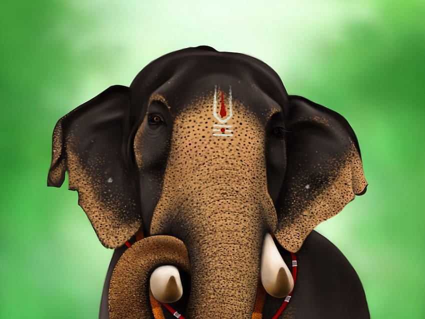 elefante, indio, animal, estándar de arte 4:3 de , pintura de elefante fondo de pantalla