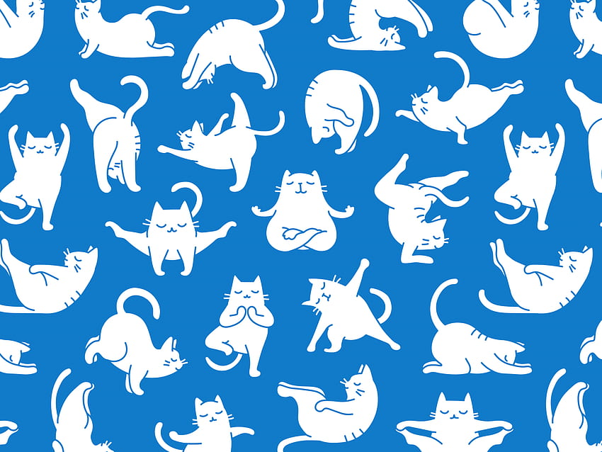 Yoga Cat Pattern in 2020. 고양이 요가, 고양이 패턴, 고양이 패턴, 귀여운 고양이 패턴 HD 월페이퍼
