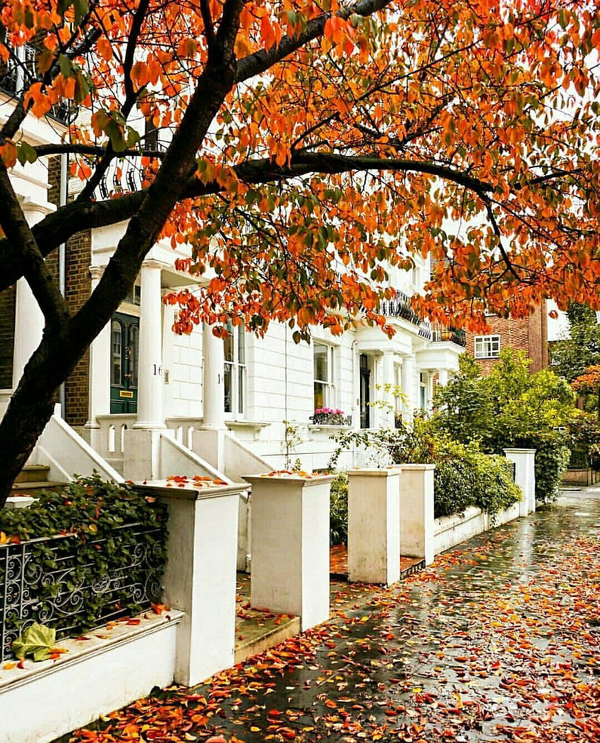 Notting Hill. House landscape, Autumn cozy, Exterior HD phone wallpaper