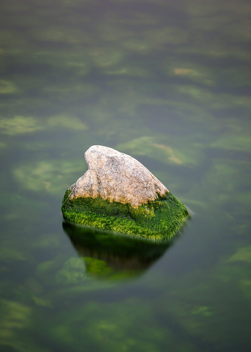 Nature, Water, Rock, Stone, Moss HD phone wallpaper