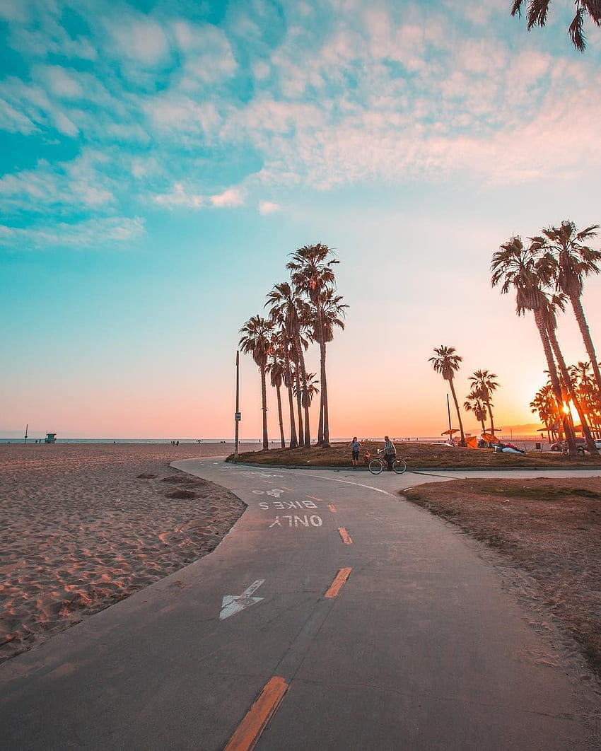 Walking around Venice Beach, Los Angeles, California HD phone wallpaper