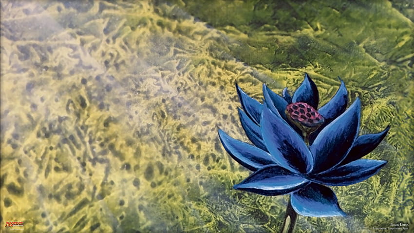 The Gathering - Black Lotus Art Mtg HD wallpaper