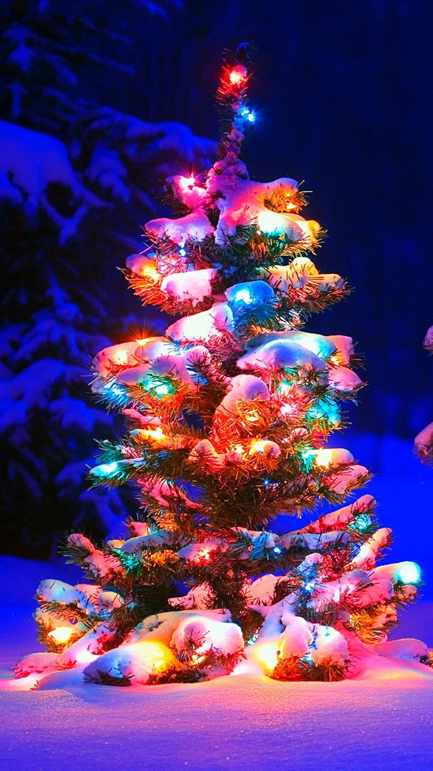 Snowy Christmas Tree Lights HD phone wallpaper