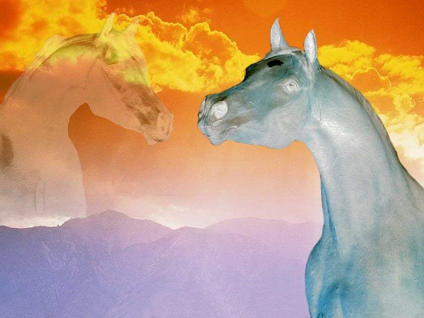 The Arabian Spirit, horses, abstract, animals, arabians, sky, nature, mountains, 2 arabians HD wallpaper