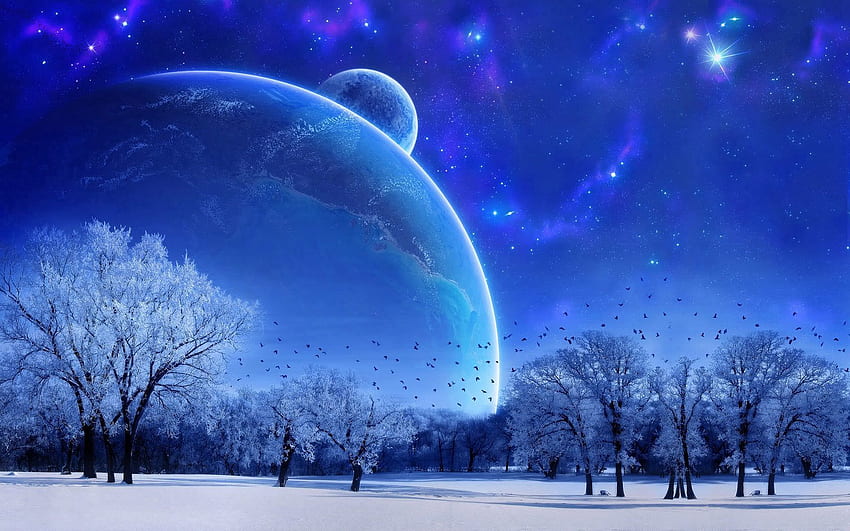 Landschaft, Abstrakt, Winter, Natur, Vögel, Bäume, Himmel, Schnee, Abend, Vollmond HD-Hintergrundbild