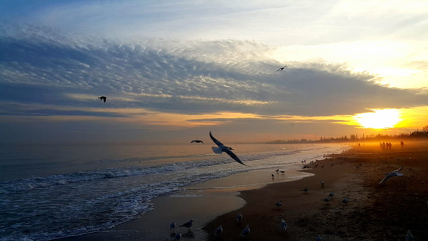Menschen, Natur, Vögel, Sonnenuntergang, Himmel, Meer, Ufer, Ufer HD-Hintergrundbild