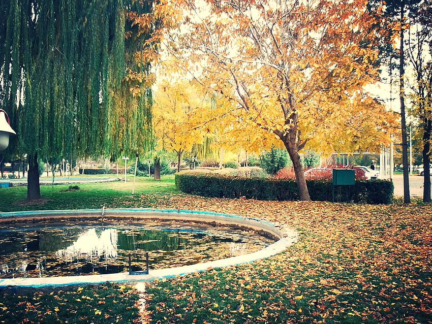 Iran, Kermanshah, Fall, Trees, Nature / HD wallpaper
