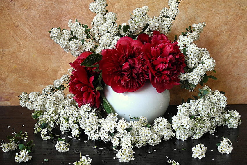 Still Life, white, beautiful, flowers, red HD wallpaper