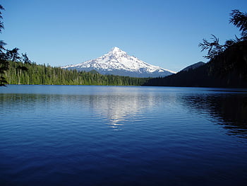 are dogs allowed at lost lake oregon