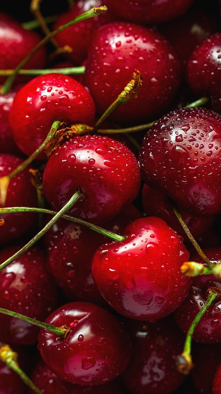 Cereza roja fresca, fruta deliciosa, gotas de agua iPhone fondo de pantalla del teléfono