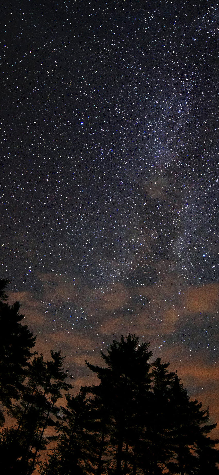 iPhone X . night sky stars milkyway wood nature dark, Real Stars HD phone wallpaper