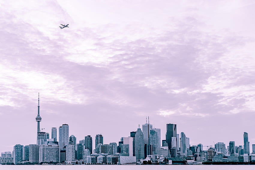 graphy of city scape under plane at daytime. Toronto , Skyline, Cityscape HD wallpaper