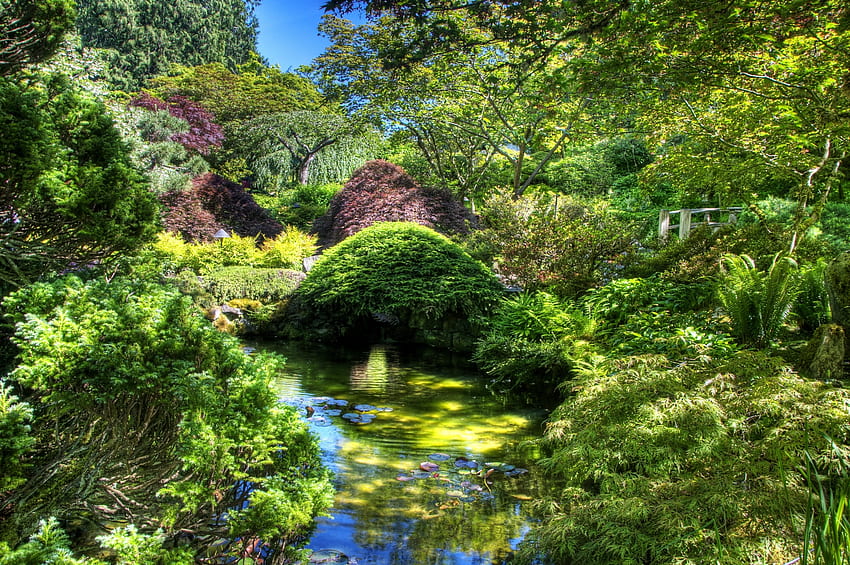 Nature, Vegetation, Garden, Pond, Brightly, Diversity, Variety HD wallpaper