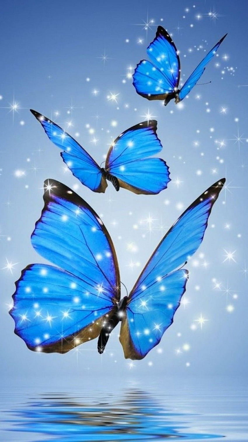 Closeup Photo of Glowing Blue Butterflies  Free Stock Photo