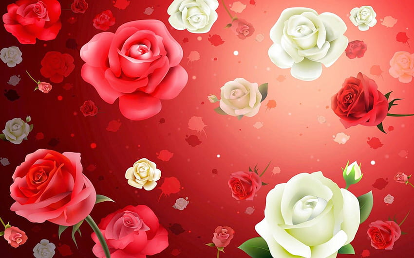 Fleur : Belles Roses Rouges Roses Blanches, Fleurs Rouges et Roses Fond d'écran HD