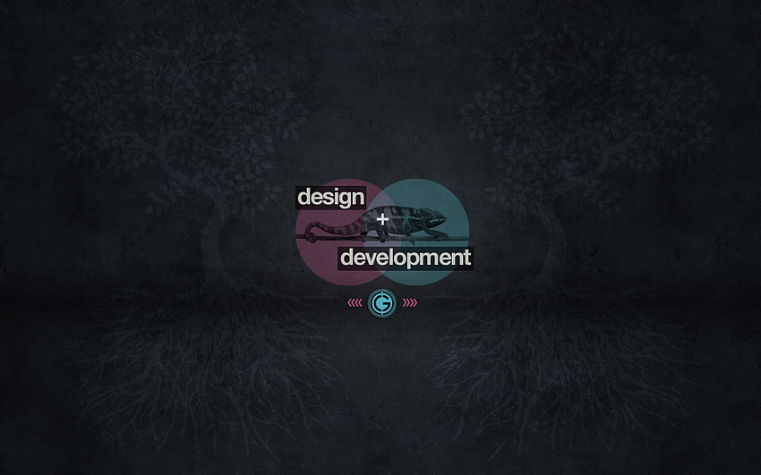 Developer . Developer , HTML Developer and Web Developer, Cool Developer HD wallpaper