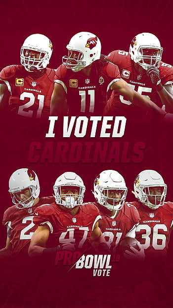 Arizona Cardinals - NFL Wallpaper (5207267) - Fanpop