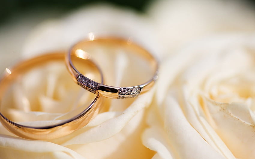 Wedding Rings Macro, Golden Ring HD wallpaper