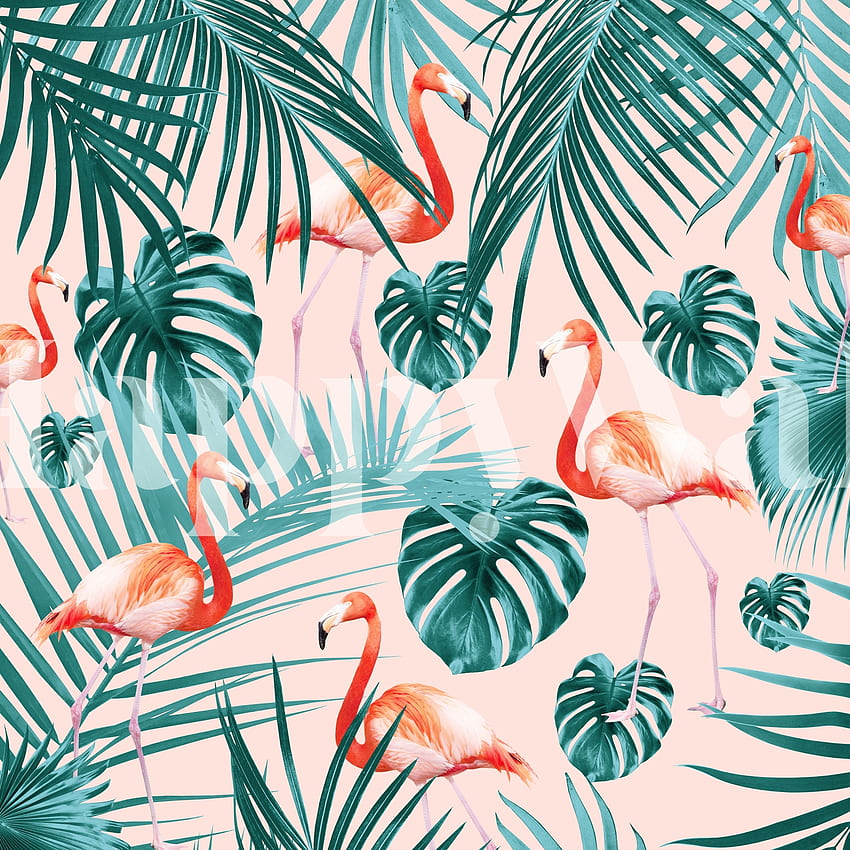 Buy Tropical Flamingo Pattern 3 - US shipping HD phone wallpaper