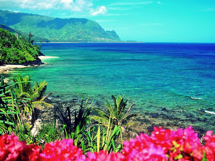 Hawaii Vacations. hawaii usa Hawaii Travel Guide to Vacation HD wallpaper