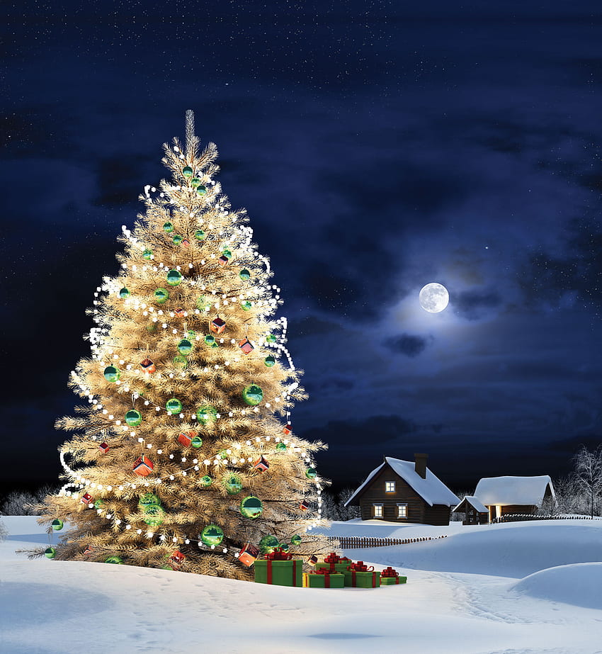 Manzara, Bayram, Kış, Ağaçlar, Yeni Yıl, Çam Ağaçları, Noel, Xmas HD telefon duvar kağıdı
