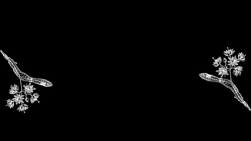 Steam Community – Leitfaden – Dunkler Dampfhintergrund, dunkle Blumenästhetik HD-Hintergrundbild