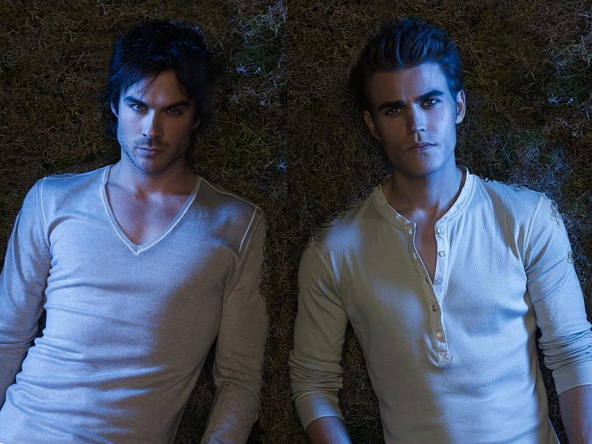 Hermanos - Damon y Stefan Salvatore fondo de pantalla