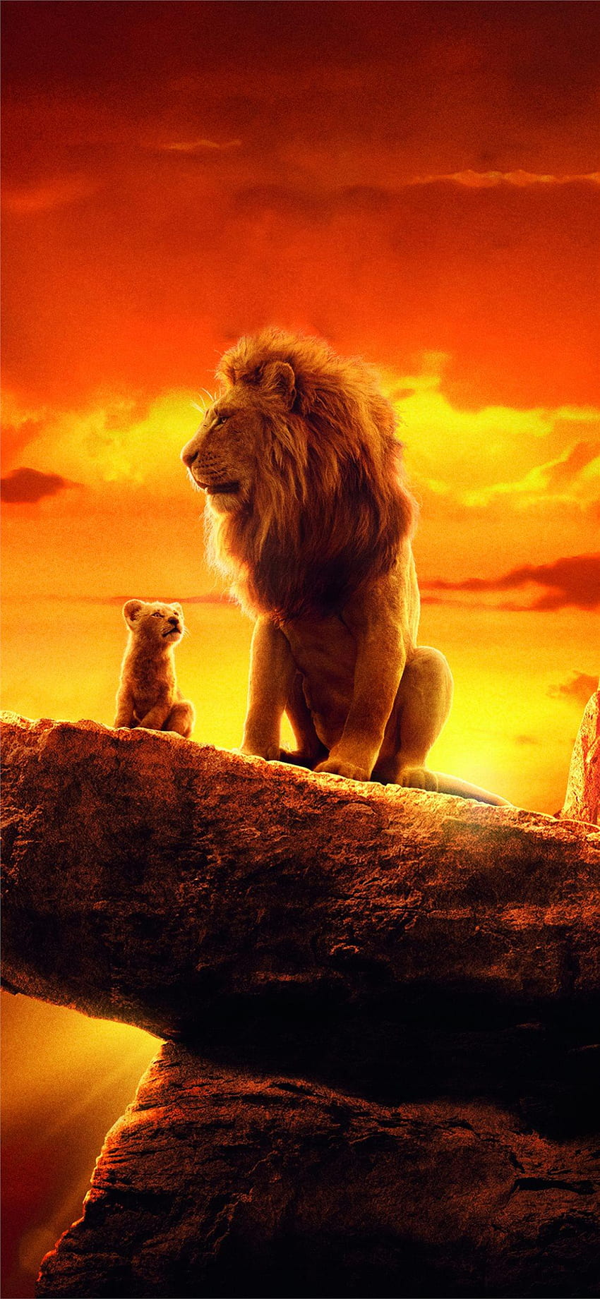 Lion King Aesthetic, Lion King Sunset HD phone wallpaper