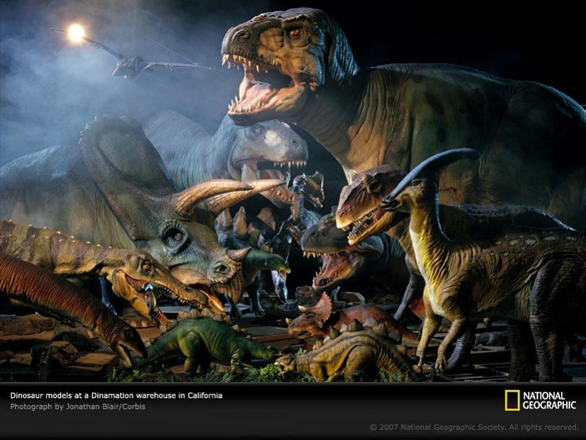 dinosaurier-modelle, tier, toll, toll, tyrannosaurus rex, nett, monster, tiere, toll, national geographic, dinosaurier, andere, t-rex, tyrannosaurus, prähistorisch, zeichnung, kreidezeit, vorgeschichte, cool, paläontologie, reptilien, tyrannosaurier , Reptil HD-Hintergrundbild