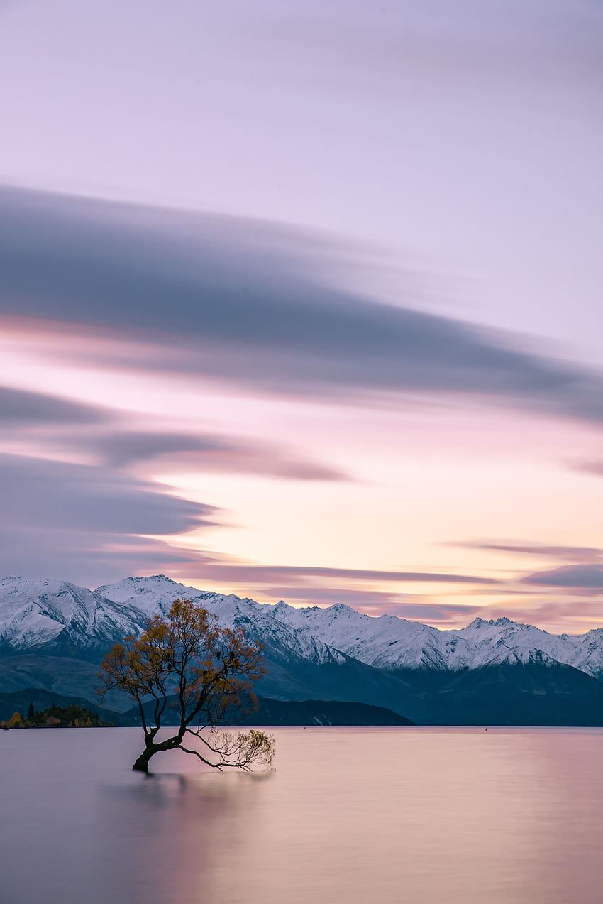 Nature, Mountains, Lake, Wood, Tree, Calmness, Tranquillity, Serenity HD phone wallpaper