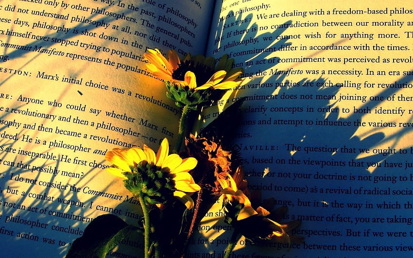 Original books, flowers, paper, shadow Background , WallpapeprsCraft *. Sunshine books, Book flowers, Book, Yellow Flowers Books HD wallpaper